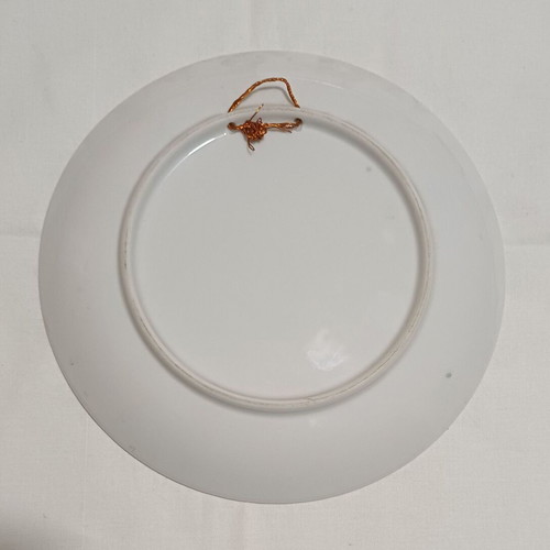 Decorative plate Salmon Fishing like new