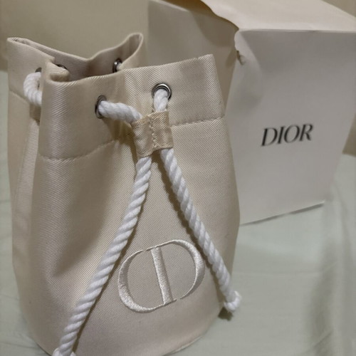 Dior pouch new beige beauty