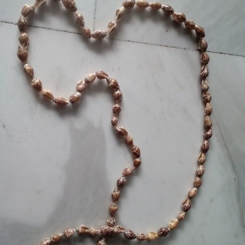 Shell necklace used, large size with knot