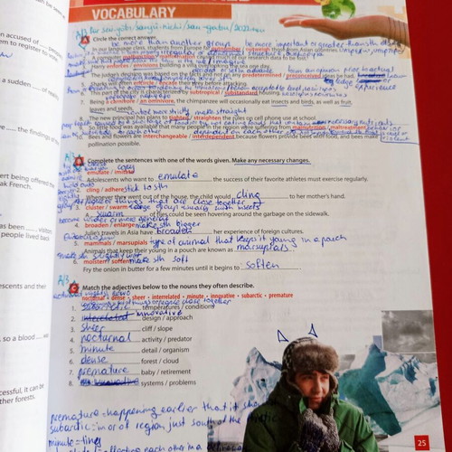 Revised ECPE Honors Workbook used, Burlington Books, English