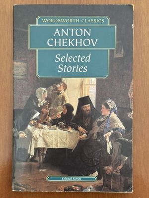 Anton Chekhov Selected Stories paperback used, English