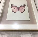 Κορνίζα τοίχου κάδρο με πεταλούδα