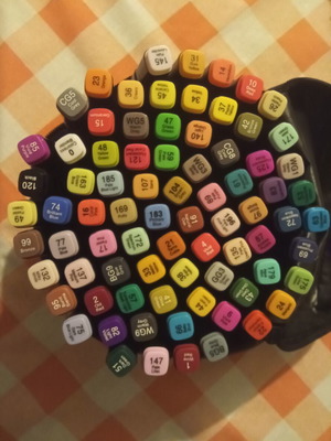 Markers double tip set of 80 with case, new
