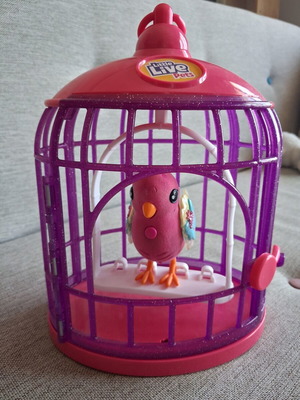 Little Live Pets electronic bird cage with bird