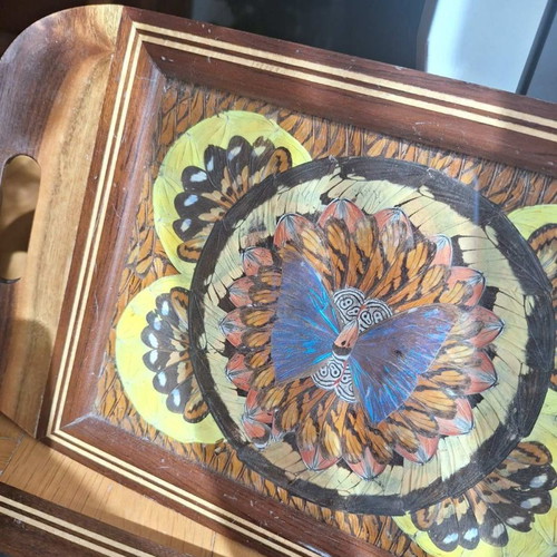 Decorative trays with real butterflies new, 70-year-old heirloom set of 2