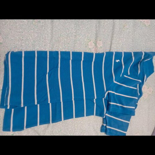 Polo Ralph Lauren polo shirt, size large, blue and white