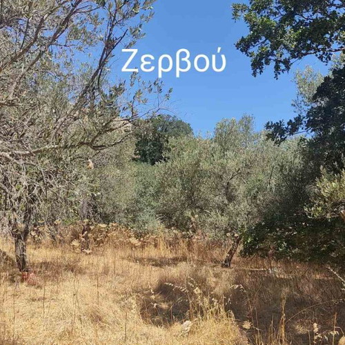 Land plots 1,048 sqm and 142 sqm in Apeiranthos Naxos with 16 olive trees