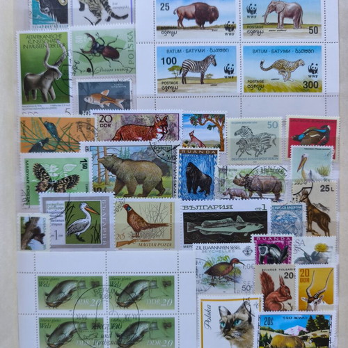 Album A4 16 pages like new with multinational animal stamp collection
