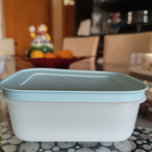 Tupperware 450ml freezer container new