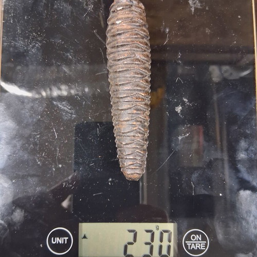 Pine cone for clock used, 230 grams