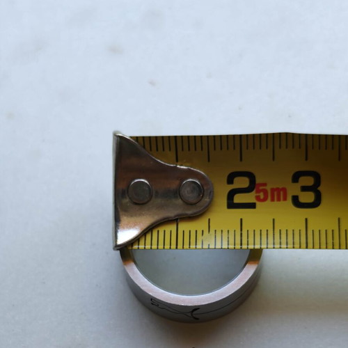 Medical Steel Ring with Puma Design, Matte Finish