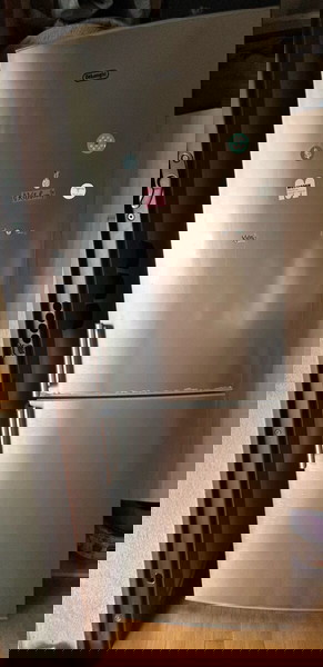ψυγείο καταψύκτης delonghi
