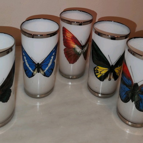 Vintage opaline glasses (5) with butterfly motifs and silver rim refurbished