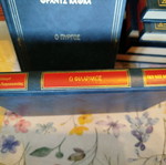The Friend Guy de Maupassant leather-bound edition like new