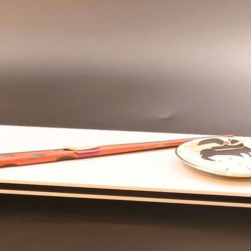 Designer Sushi Serving Tray from Plexiglas 12x28 cm new
