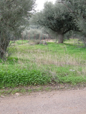 Land 1.32 stremma corner plot with panoramic view in Akrata