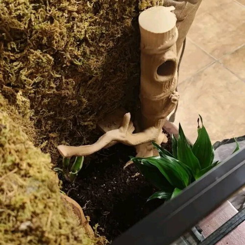 Decorative Terrarium Tree with Hideout for Reptiles