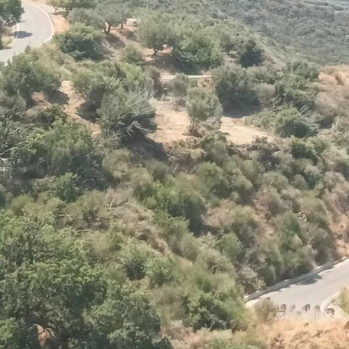 Buildable agricultural land 2,030 sqm in Mesochori Voion Laconia with view