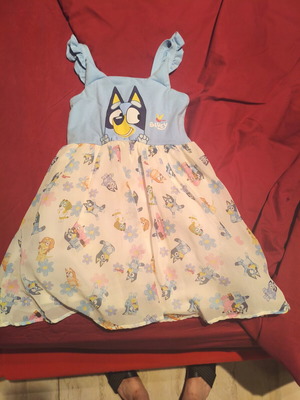 Bluey Dress size 6 like new