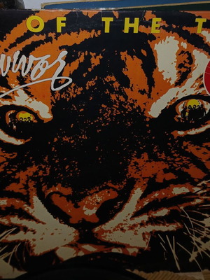 Survivor Eye of the Tiger vinyl used, moderate condition