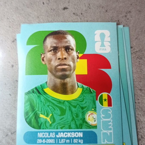 Panini FIFA World Cup 2026 Sticker like new