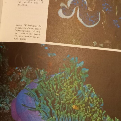 The Underwater Discoveries of Jacques-Yves Cousteau book set new