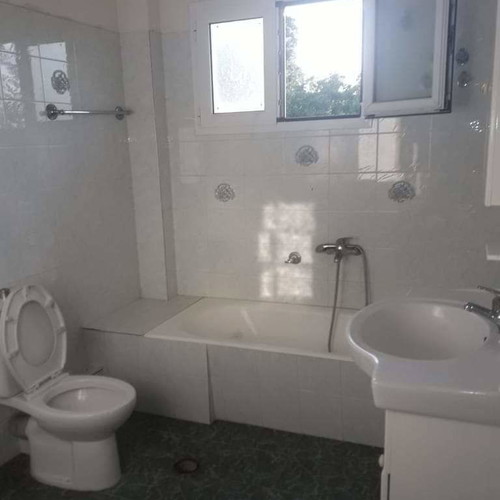 Detached house with two apartments and a floor for shop in Evia