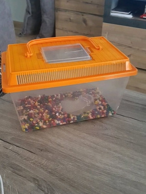 Γυάλα για ψάρια σαν καινούργιο, πλαστική, 28x18cm