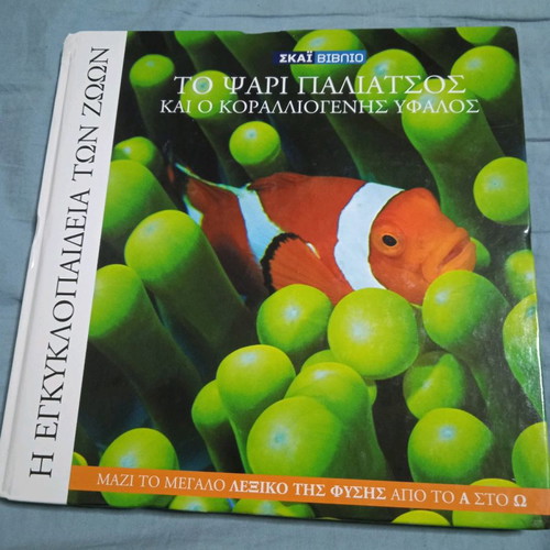 The Clownfish and the Coral Reef Book