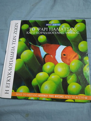 The Clownfish and the Coral Reef Book