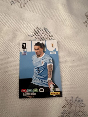 Darwin Nunez World Cup card with Dan Ndoye card