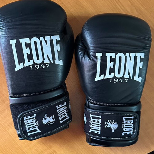 Boxing gloves size 10 new