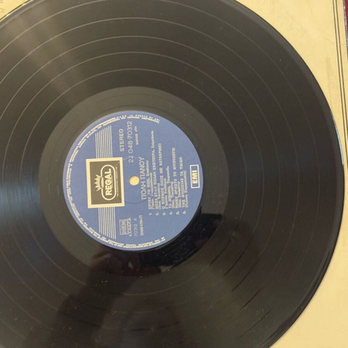 Poly Panou vinyl record used
