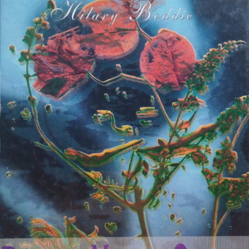 Herbs for Health and Beauty by Hilary Boddie used