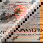 Φλάτερλαντ - Η περιπέτεια των πολλών διαστάσεων