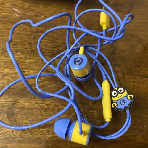 Wired Earphones for iPhone Models 15 and Later, New, Type C