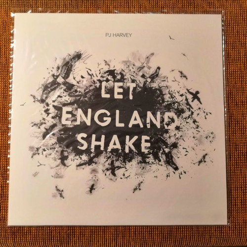 Indie pop-rock vinyl records used, pack of 10, collectible