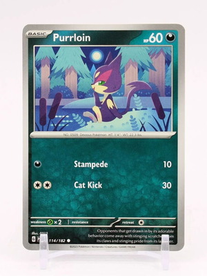 Pokemon card Purrloin 114/182 Paradox Rift new collectible