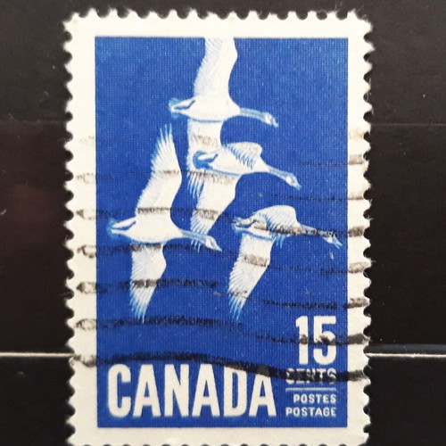 Γραμματόσημο Canada 1963 με μεταχειρισμένη εικόνα Canada Goose
