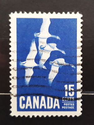 Γραμματόσημο Canada 1963 με μεταχειρισμένη εικόνα Canada Goose