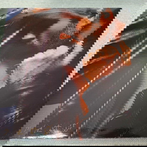 George Michael – Faith  LP