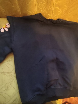 Bershka Floral Nature Sweatshirt like new, size S