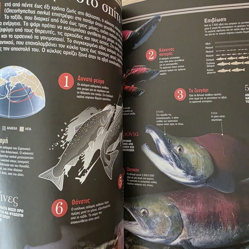 Atlas of Sciences: Fish and Amphibians like new, Greek edition