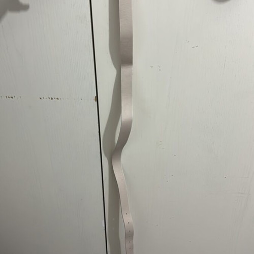 Belt used