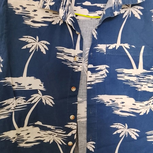 Zara kids summer shirt like new, size 10 (140 cm)