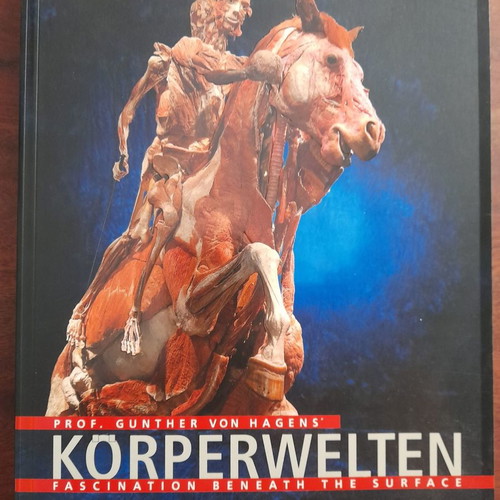 Körperwelten - Fascination Beneath the Surface used exhibition catalogue book