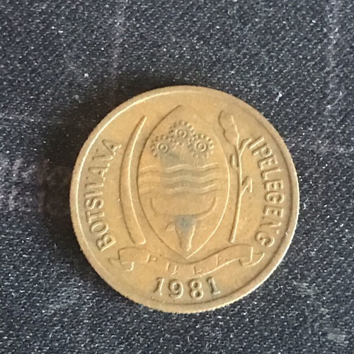 Botswana 5 Thebe coin 1981