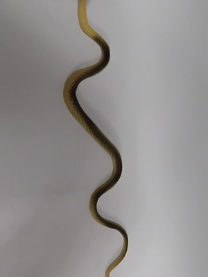 Snake like new in excellent condition