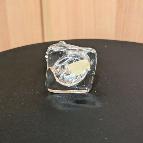 Decorative transparent bird like new