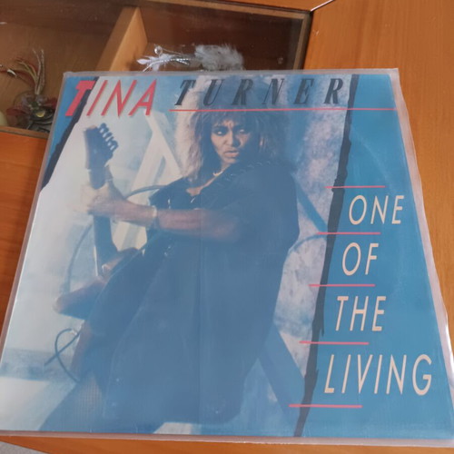 Tina Turner One of the Living vinyl used, rock